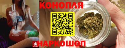 индика Коммунар