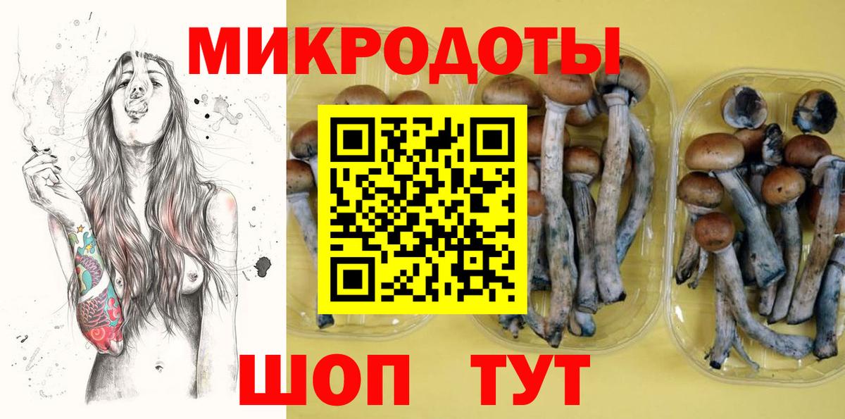 Клинцы  Псилоцибиновые грибы мицелий  Галлюциногенные грибы мицелий  Вход с VPN 