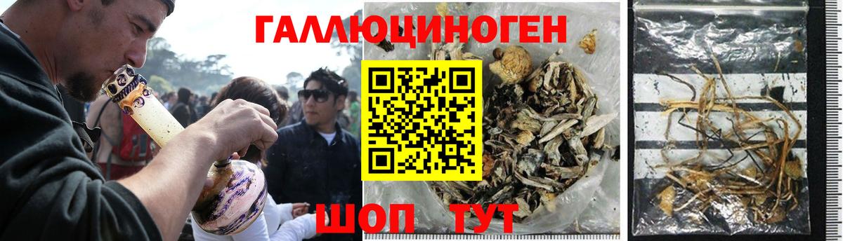 Псилоцибиновые грибы ЛСД Клинцы